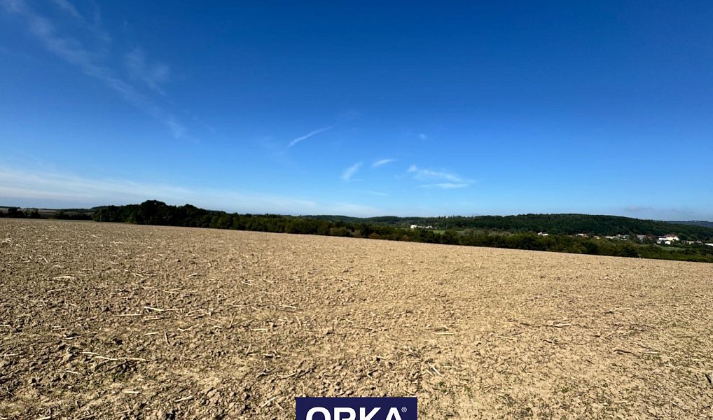 Prodej louky 7 785 m², Veselíčko – náhled fotky 4