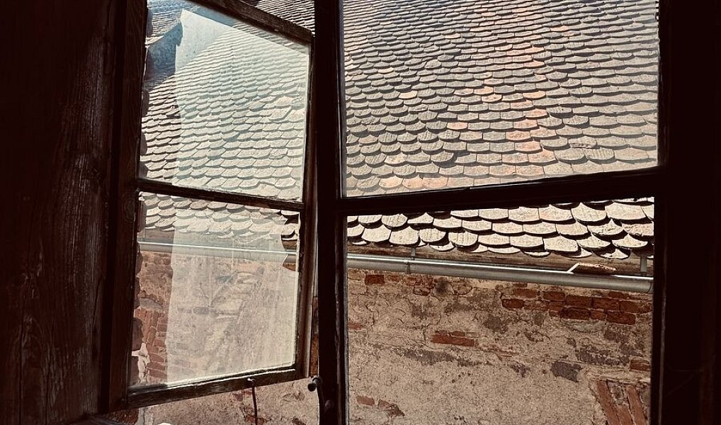 Prodej skladovacích prostor 830 m², Jakubov u Moravských Budějovic – náhled fotky 27