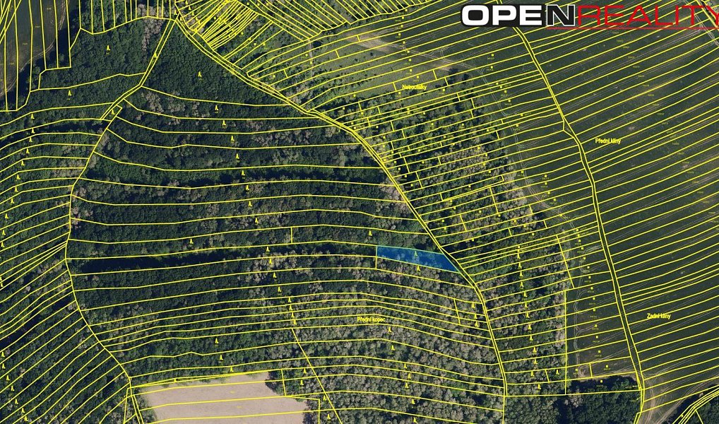Prodej lesa 5 387 m², Morkůvky – náhled fotky 3