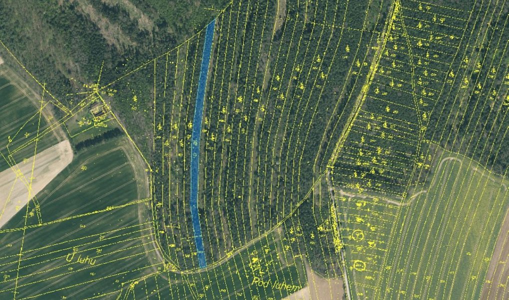 Prodej lesa 24 818 m², Vesce – náhled fotky 3