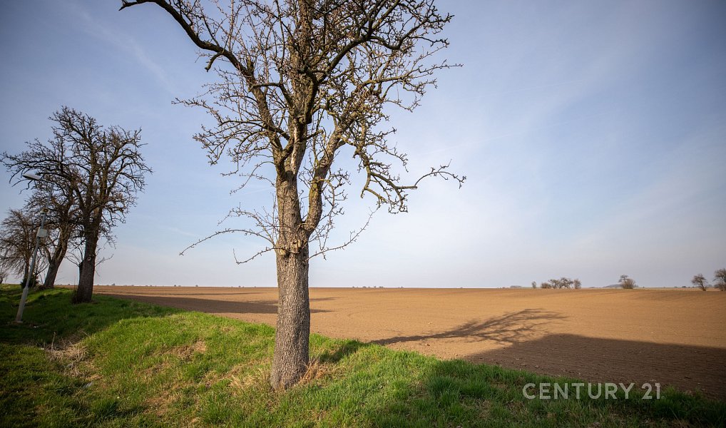 Prodej bytu 3+1 71 m², Bečváry – náhled fotky 29