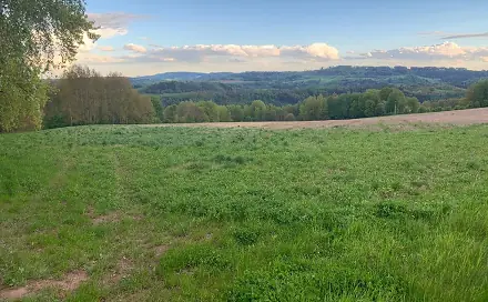Prodej pole 8 971 m², Semily - Bítouchov