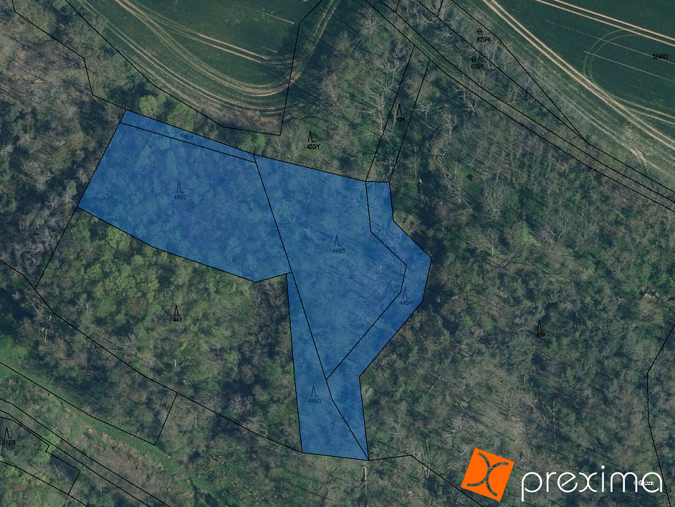 Prodej lesa 573 m²