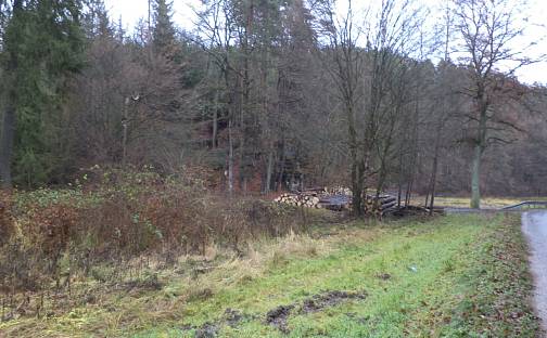 Prodej pozemku 1 295 m², Doksy - Žďár, okres Česká Lípa