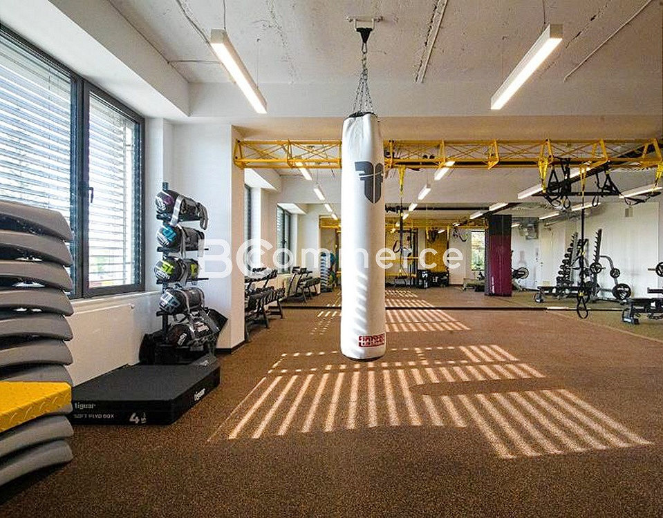 Fotka 16 z 17