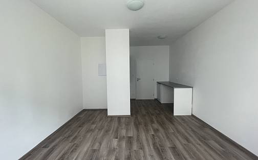 Pronájem bytu 1+kk 28 m², Papírnická, Plzeň - Východní Předměstí