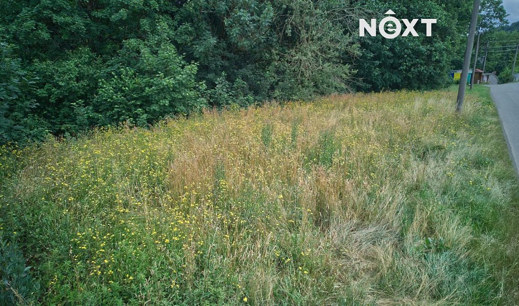 Prodej stavebního pozemku 800 m², Letohrad – náhled fotky 5