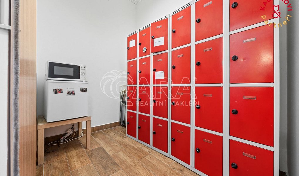 Prodej obchodních prostor 326 m², Brno – náhled fotky 17