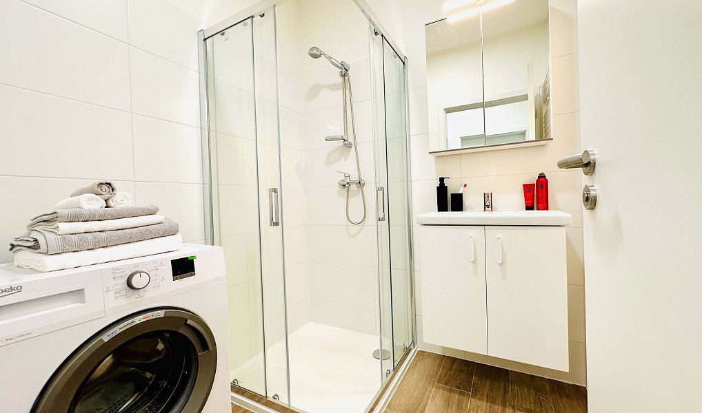 Pronájem bytu 1+kk 50 m², Jihlava – náhled fotky 9