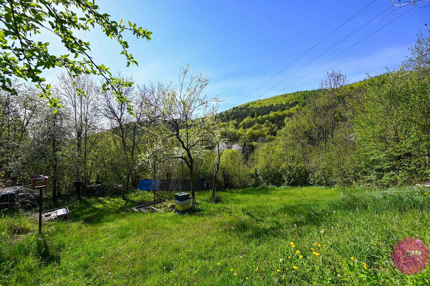 Prodej zahrady 2 114 m² – fotografie 4