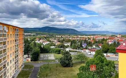 Prodej bytu 3+1 60 m², Pod Břízami, Chomutov