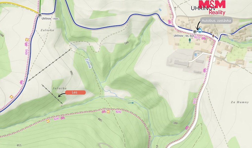 Prodej lesa 5 050 m², Hranice – náhled fotky 6
