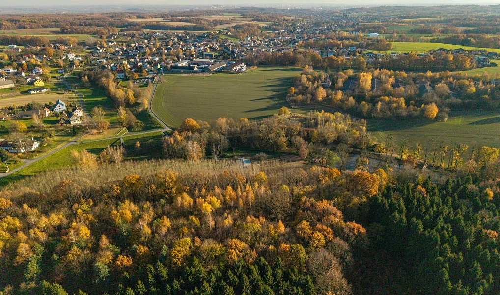Pronájem komerčního pozemku 22 800 m², Markvartovice – náhled fotky 7