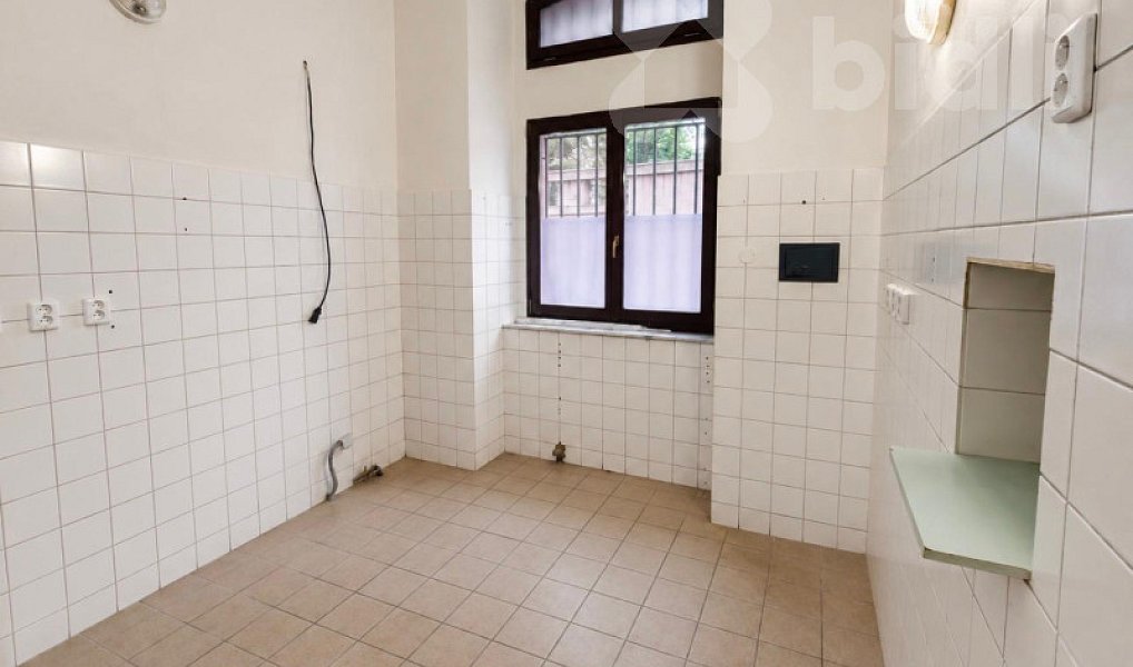 Pronájem obchodních prostor 151 m², Praha – náhled fotky 4