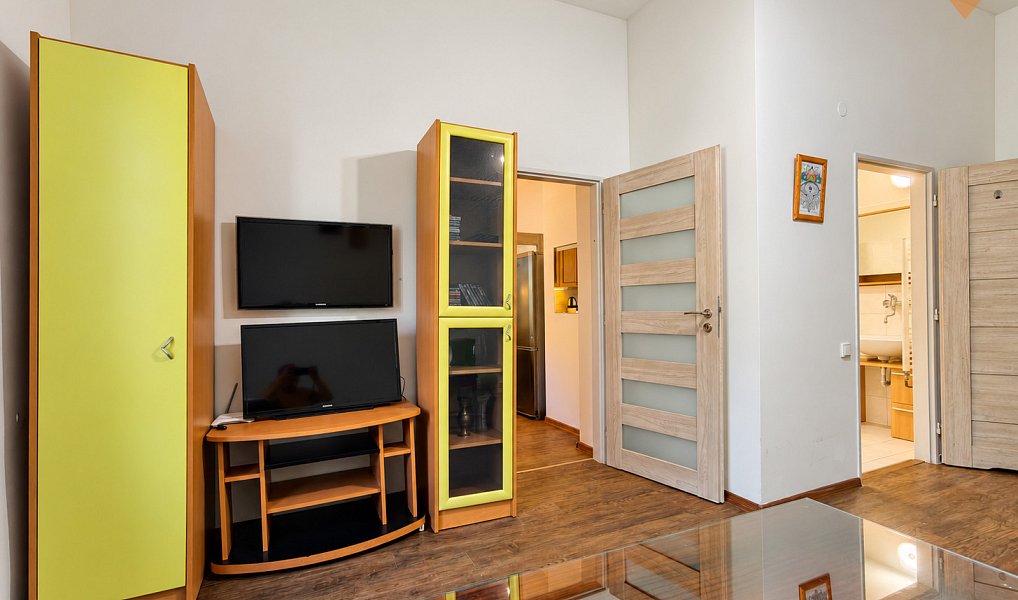 Pronájem bytu 2+kk 42 m², Janské Lázně – náhled fotky 5
