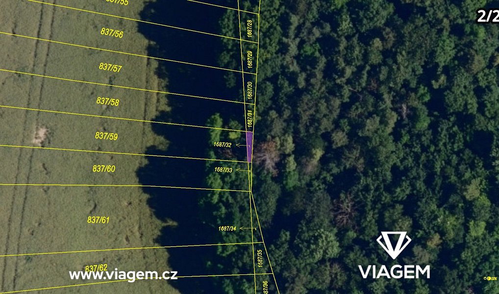 Prodej zahrady 877 m², Kobeřice u Brna – náhled fotky 8