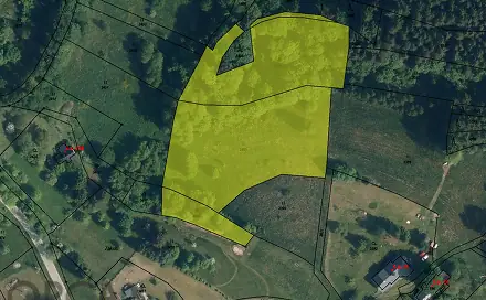 Prodej louky 8 212 m², Koberovy, okres Jablonec nad Nisou