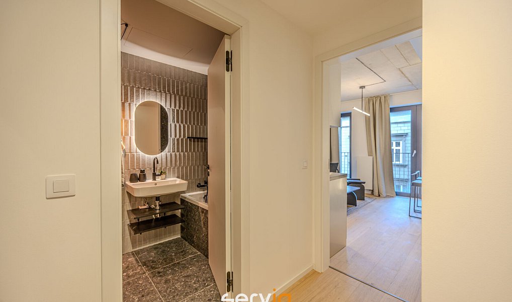 Pronájem bytu 1+kk 26 m², Brno – náhled fotky 6