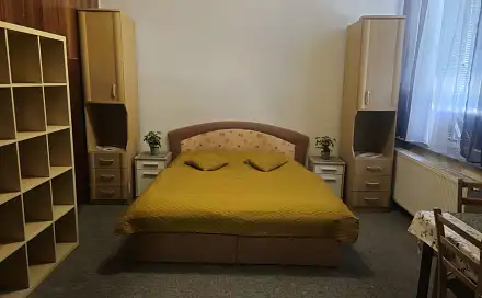 Pronájem bytu 1+1 80 m²