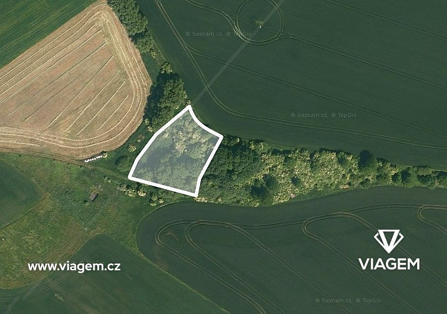 Prodej pole 602 m²