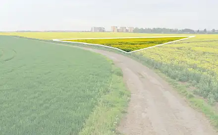 Prodej pole 5 953 m², V Honech, Klecany, okres Praha-východ