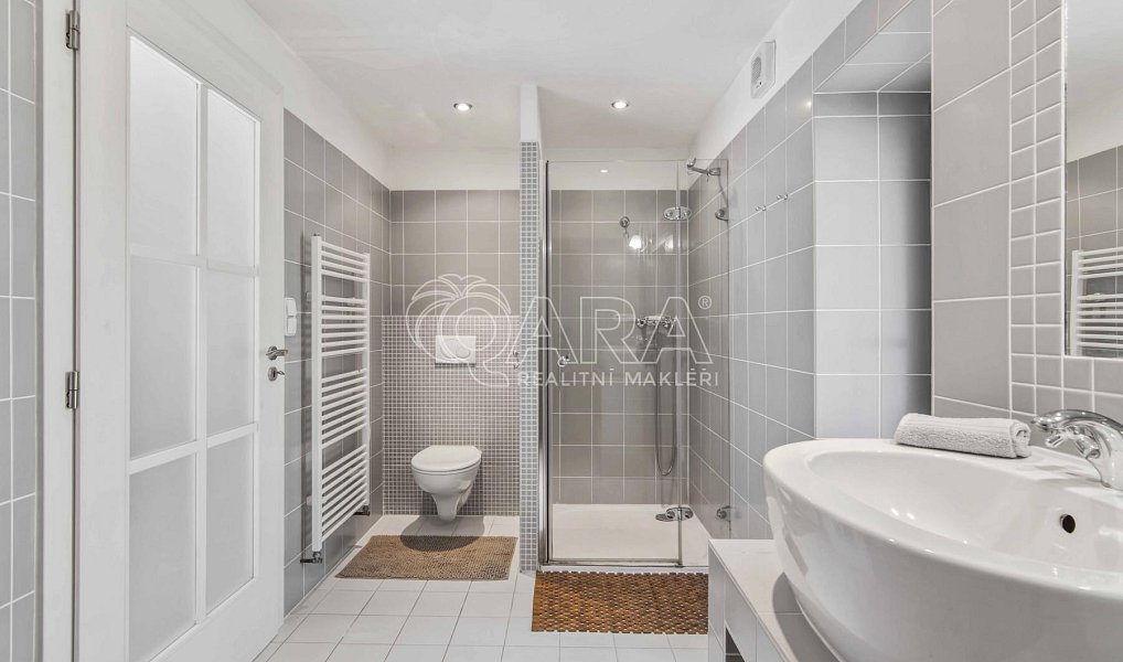 Prodej domu 280 m² s pozemkem 577 m², Kosova Hora – náhled fotky 20