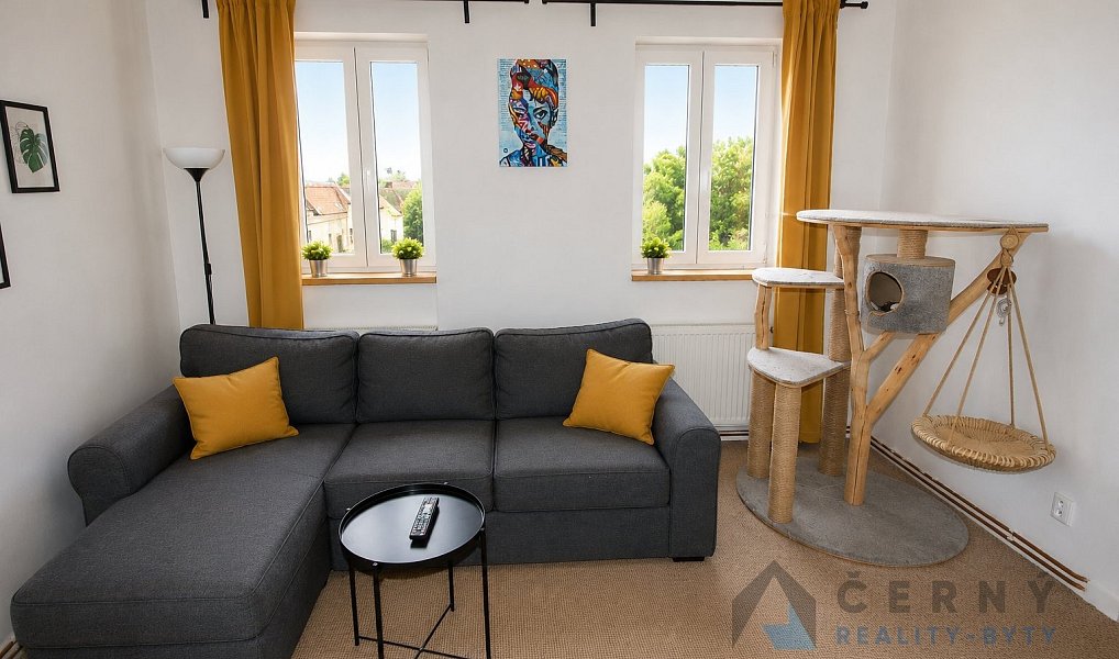 Pronájem bytu 2+1 49 m², Liberec – náhled fotky 9