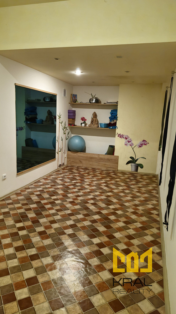 Pronájem obchodních prostor 15 m² – fotografie 2