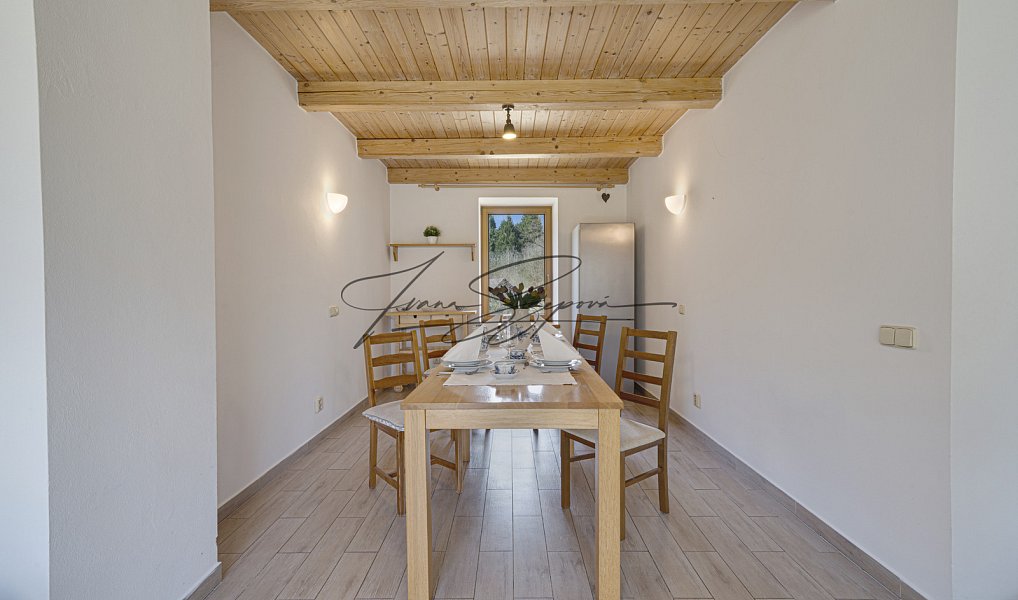 Prodej domu 594 m² s pozemkem 13 331 m², Olešná – náhled fotky 35