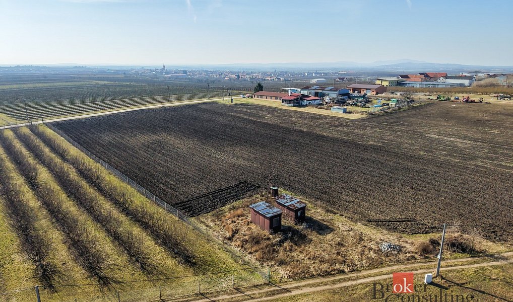 Prodej pozemku 2 791 m², Velké Bílovice – náhled fotky 11
