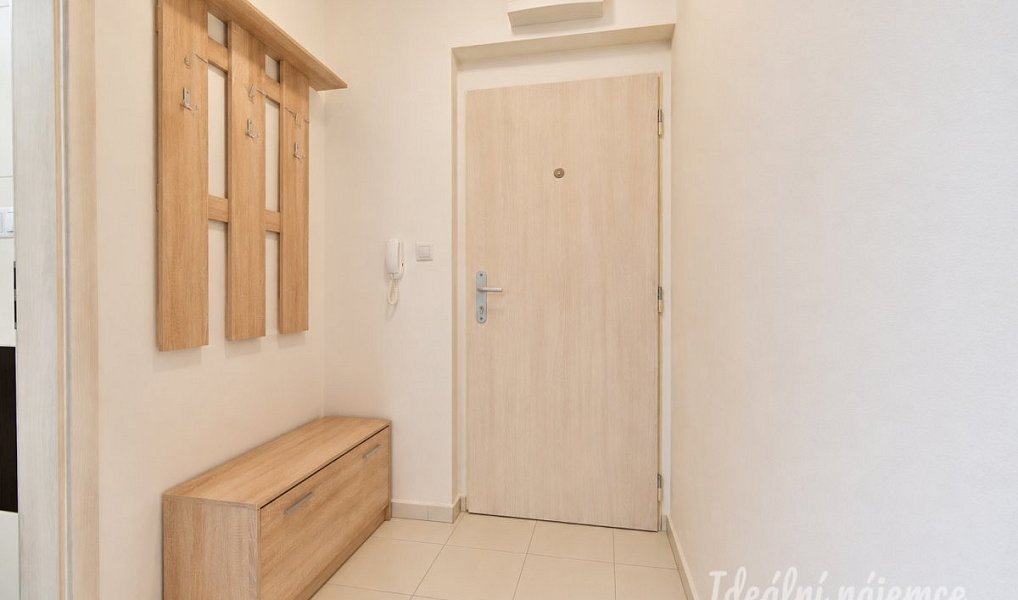 Pronájem bytu 1+kk 40 m², Brno – náhled fotky 8