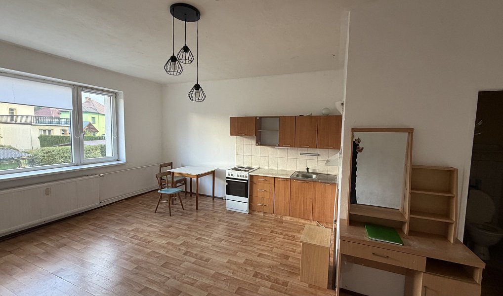 Pronájem bytu 1+kk 33 m², Zruč nad Sázavou – náhled fotky 4