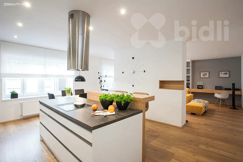 Pronájem bytu 3+kk 117 m²