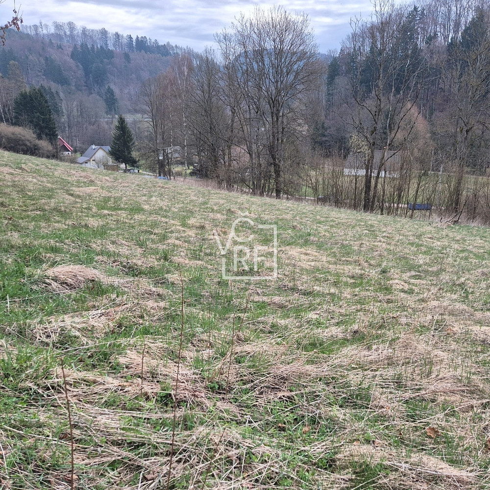 Prodej stavebního pozemku 4 647 m² – fotografie 4