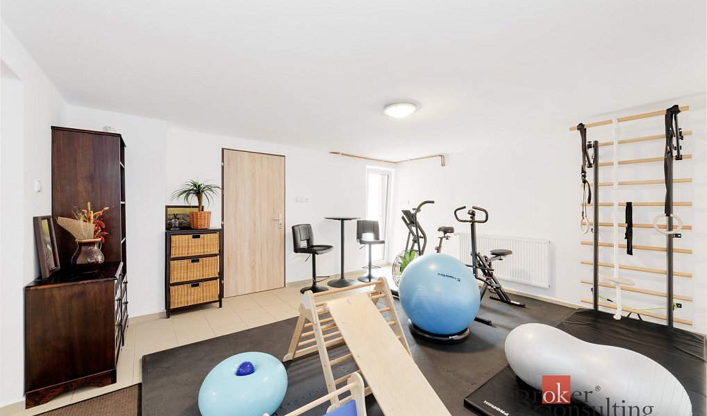 Prodej domu 239 m² s pozemkem 1 179 m², Nový Knín – náhled fotky 21