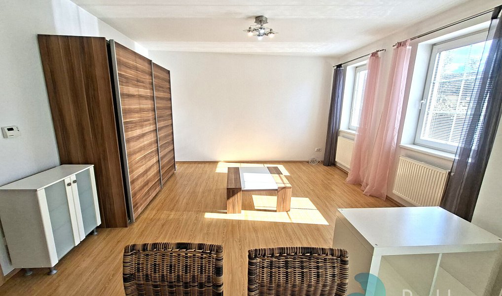 Pronájem bytu 1+kk 40 m², Dobrá Voda u Českých Budějovic – náhled fotky 3