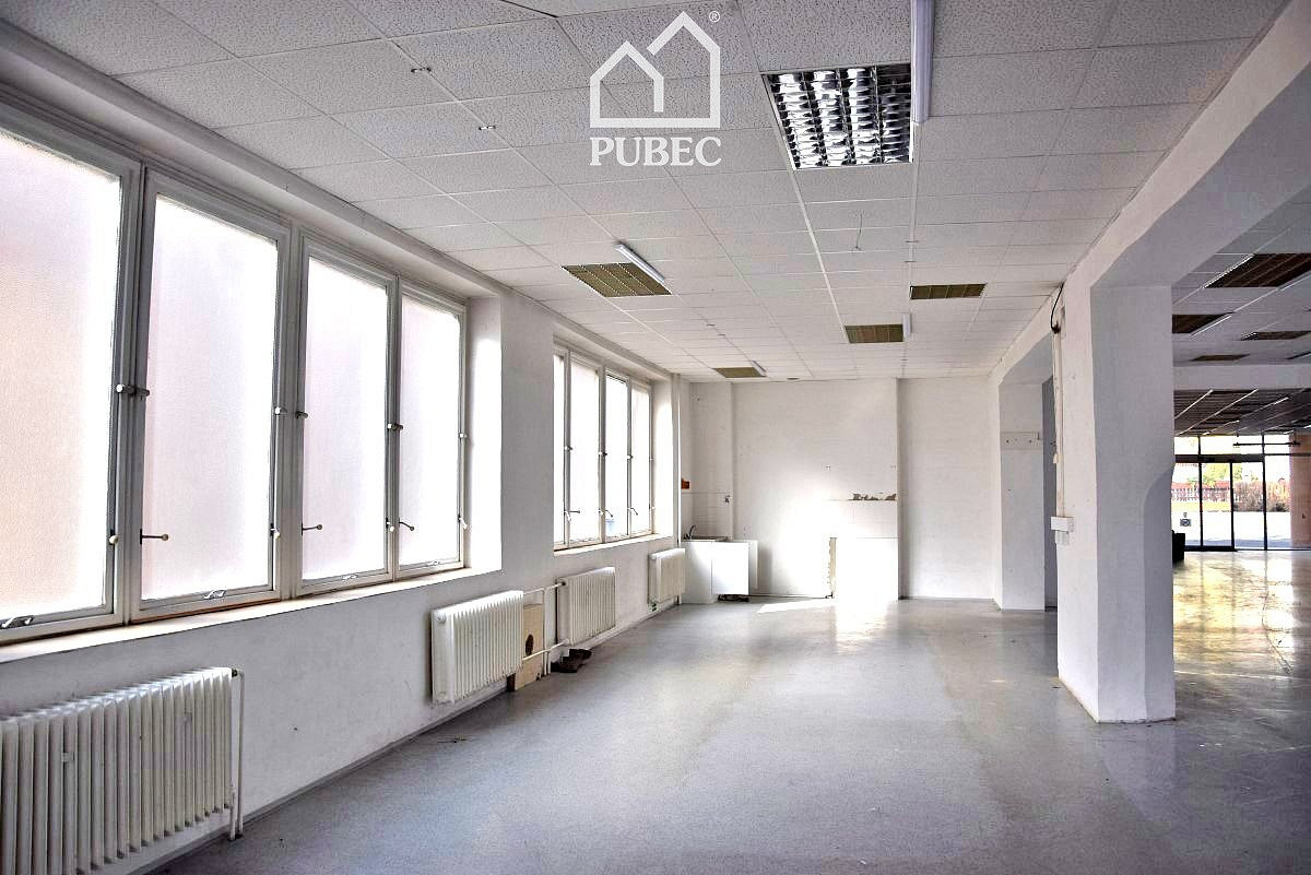 Pronájem obchodních prostor 254 m² – fotografie 5