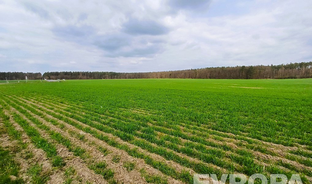 Prodej pole 27 281 m², Čistá – náhled fotky 5