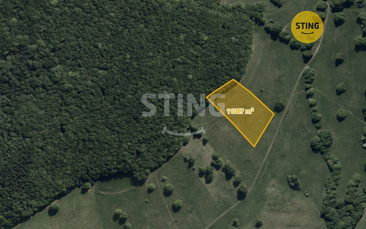 Prodej lesa 11 087 m²