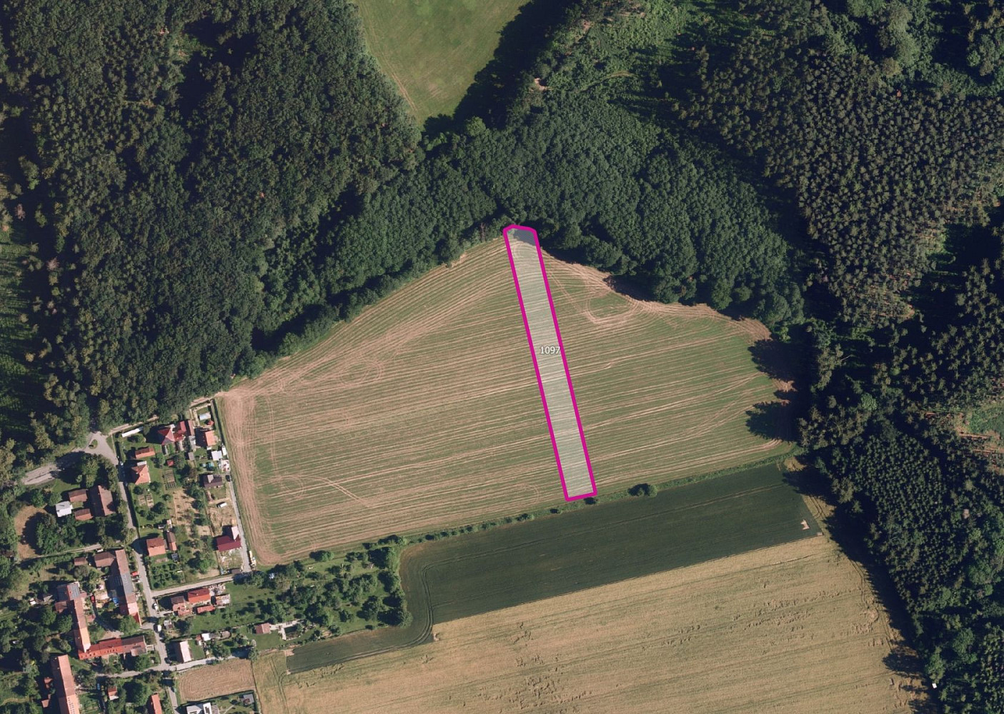Prodej pole 21 531 m² — photo 3