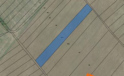 Prodej pole 115 m², Hrubý Jeseník, okres Nymburk