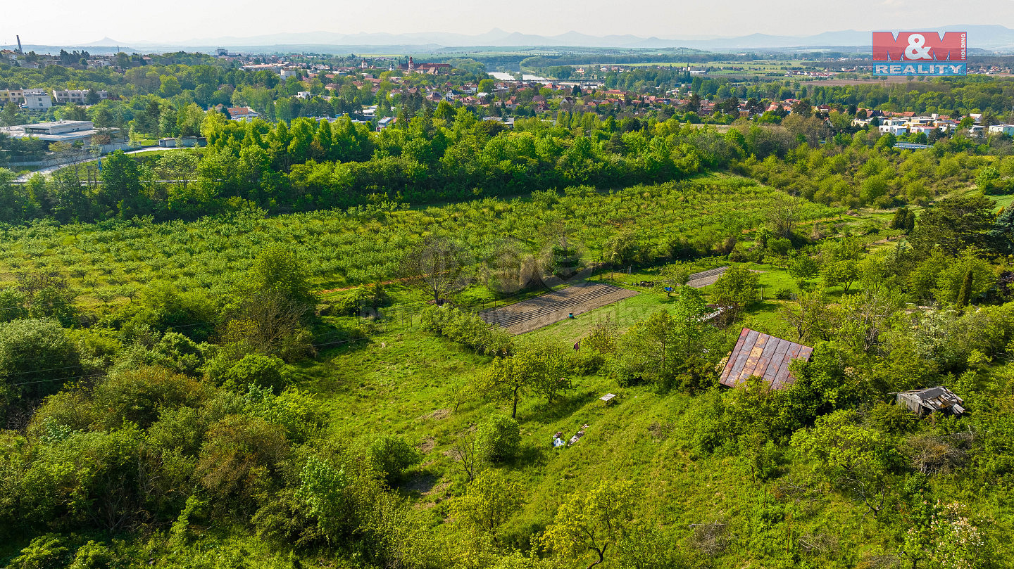 Prodej zahrady 3 700 m² – fotografie 4