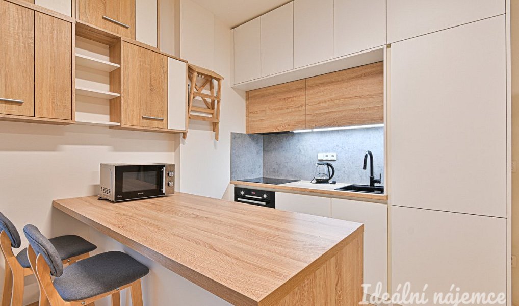 Pronájem bytu 2+kk 49 m², Brno – náhled fotky 2