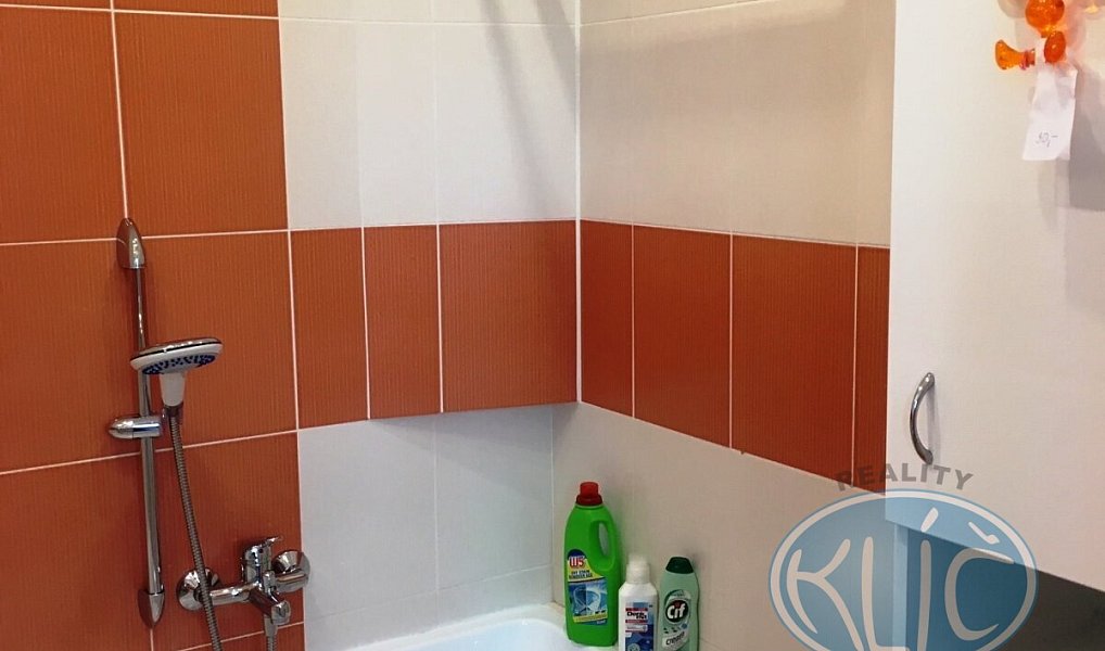 Pronájem bytu 3+1 64 m², Tábor – náhled fotky 8
