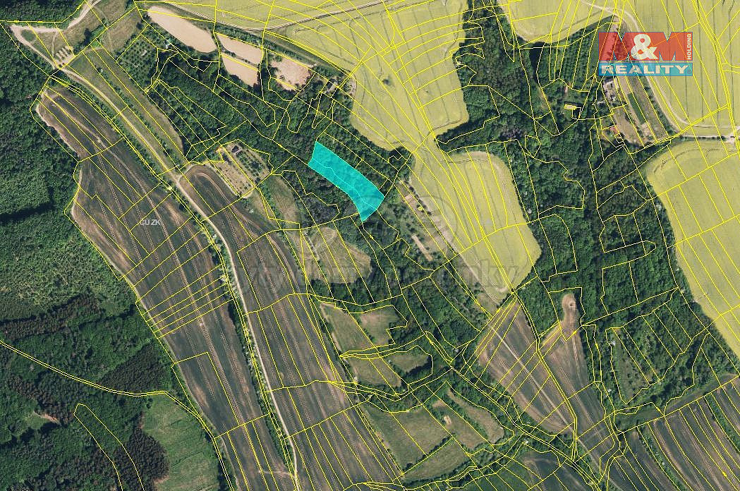 Prodej lesa 5 007 m²
