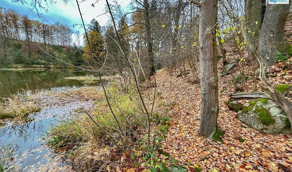 Prodej vodní plochy 14 487 m², Čmelíny – náhled fotky 15