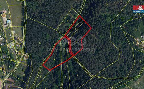Prodej lesa 5 461 m², Mírová pod Kozákovem - Sekerkovy Loučky, okres Semily