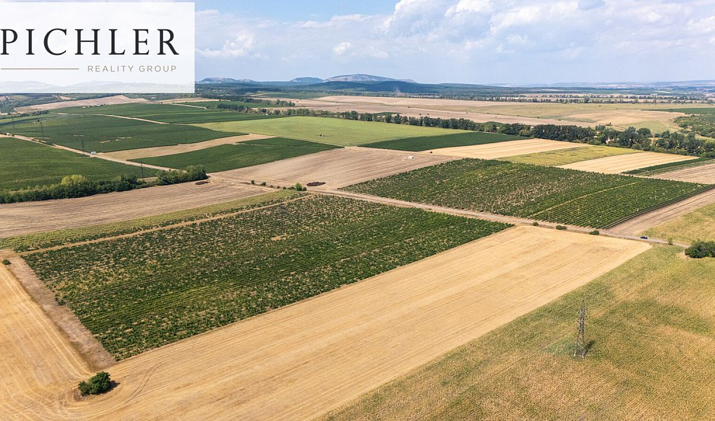 Prodej pozemku 24 332 m², Sedlec – náhled fotky 12