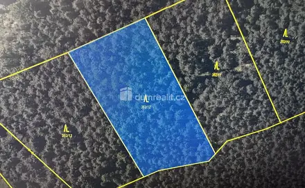 Prodej lesa 4 316 m², Nebahovy - Jelemek, okres Prachatice