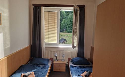 Prodej bytu 1+kk 19 m², Benešov nad Černou - Černé Údolí, okres Český Krumlov